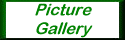 picture gallery
